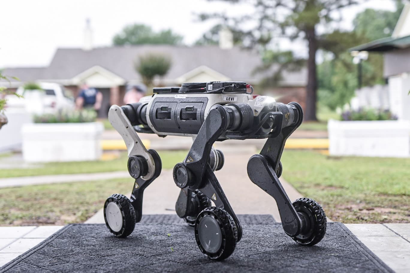 Quadruped robot at Fern View Apartments